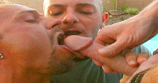 SLURP 5