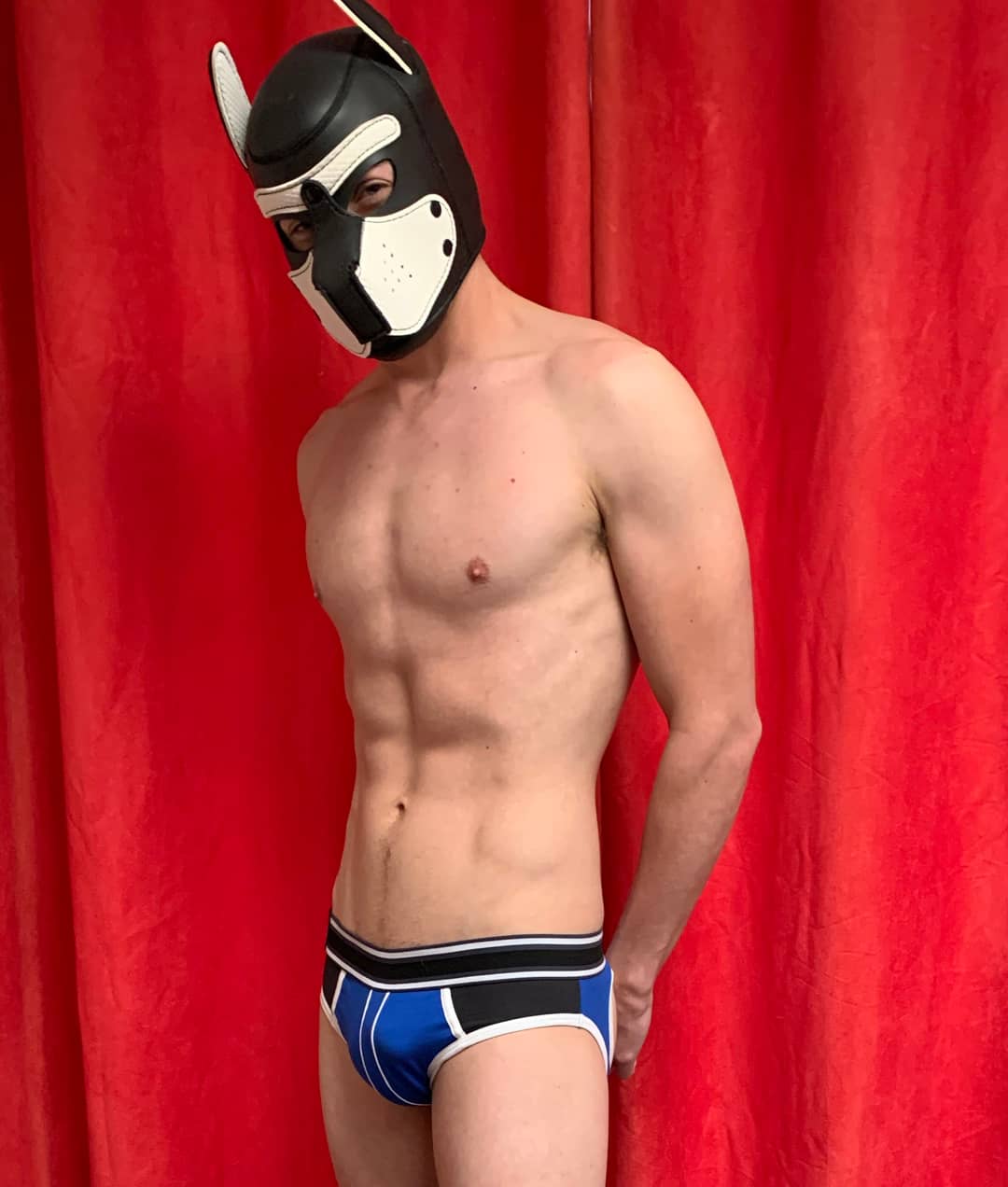 StreetPup — headshot