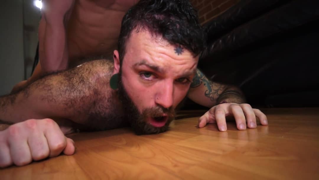 Gutter Pup — headshot