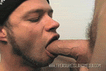 GIF: BEANIE AND BLOWJOB